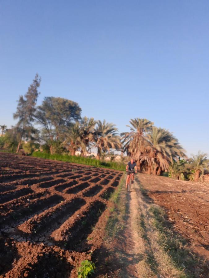 Village Room In The Countryside Al Minya Luaran gambar